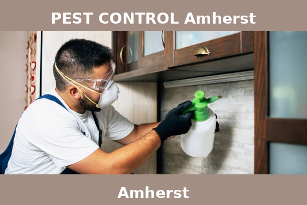 PEST CONTROL Amherst